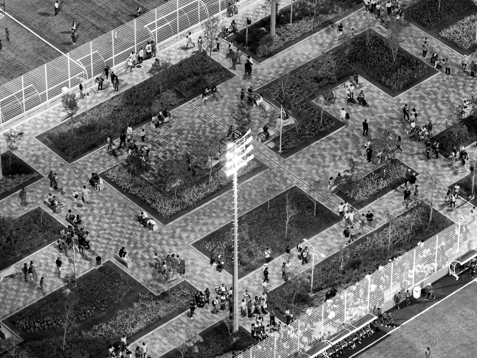 Chambacú — la memoria que no quieren recordar — Cartagena