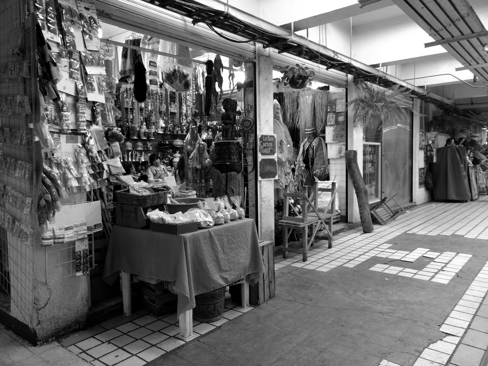 Mercado de Sonora — donde se consigue todo — Ciudad de México