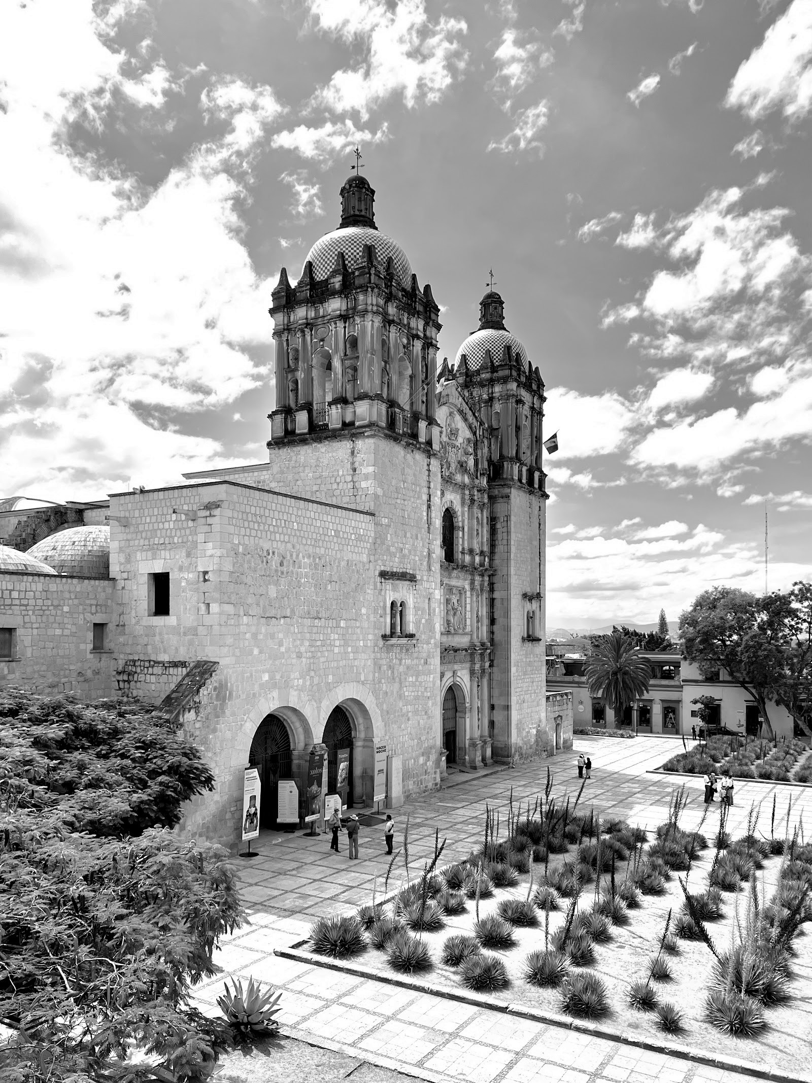 Oaxaca — el México que no negocia — Ciudad de México
