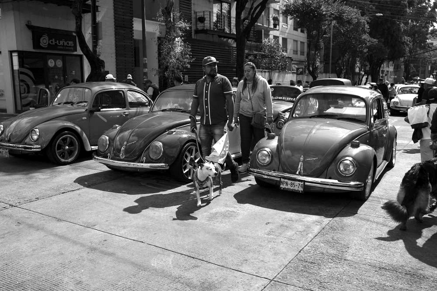 Volkswagen Vocho — el coche que nunca se fue — Ciudad de México