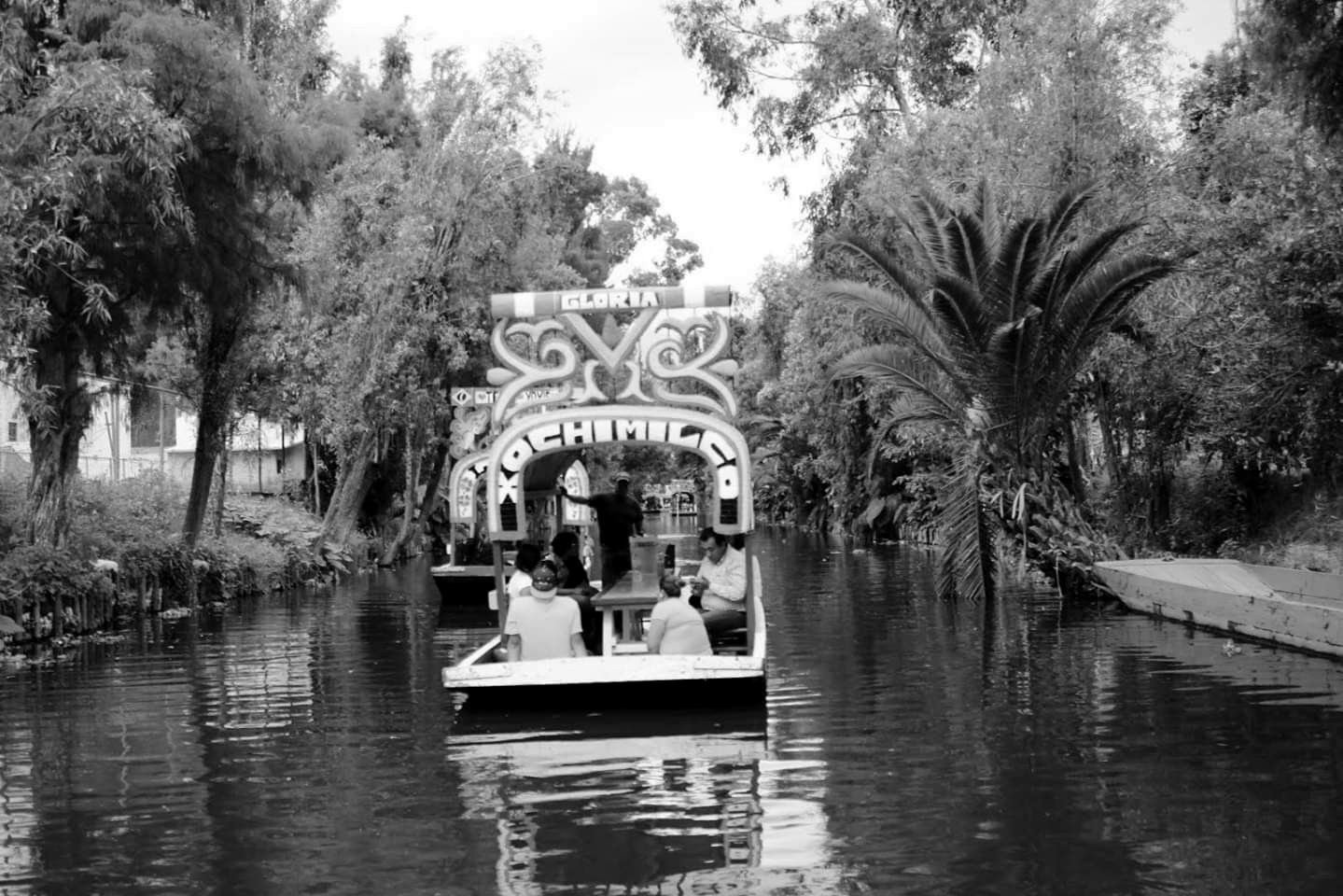 Xochimilco en tour organizado — Ciudad de México