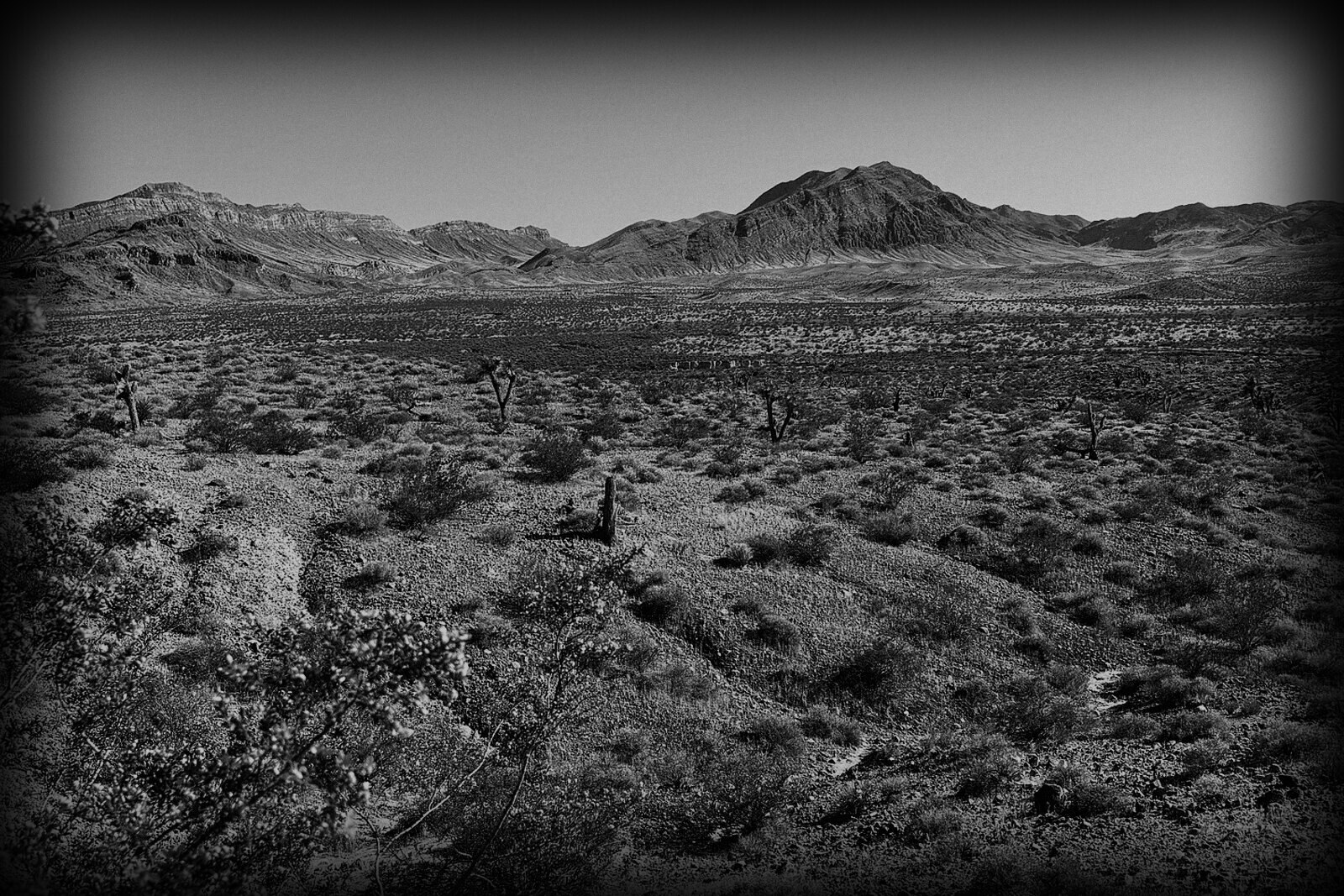 Nevada — Donde termina la ilusión