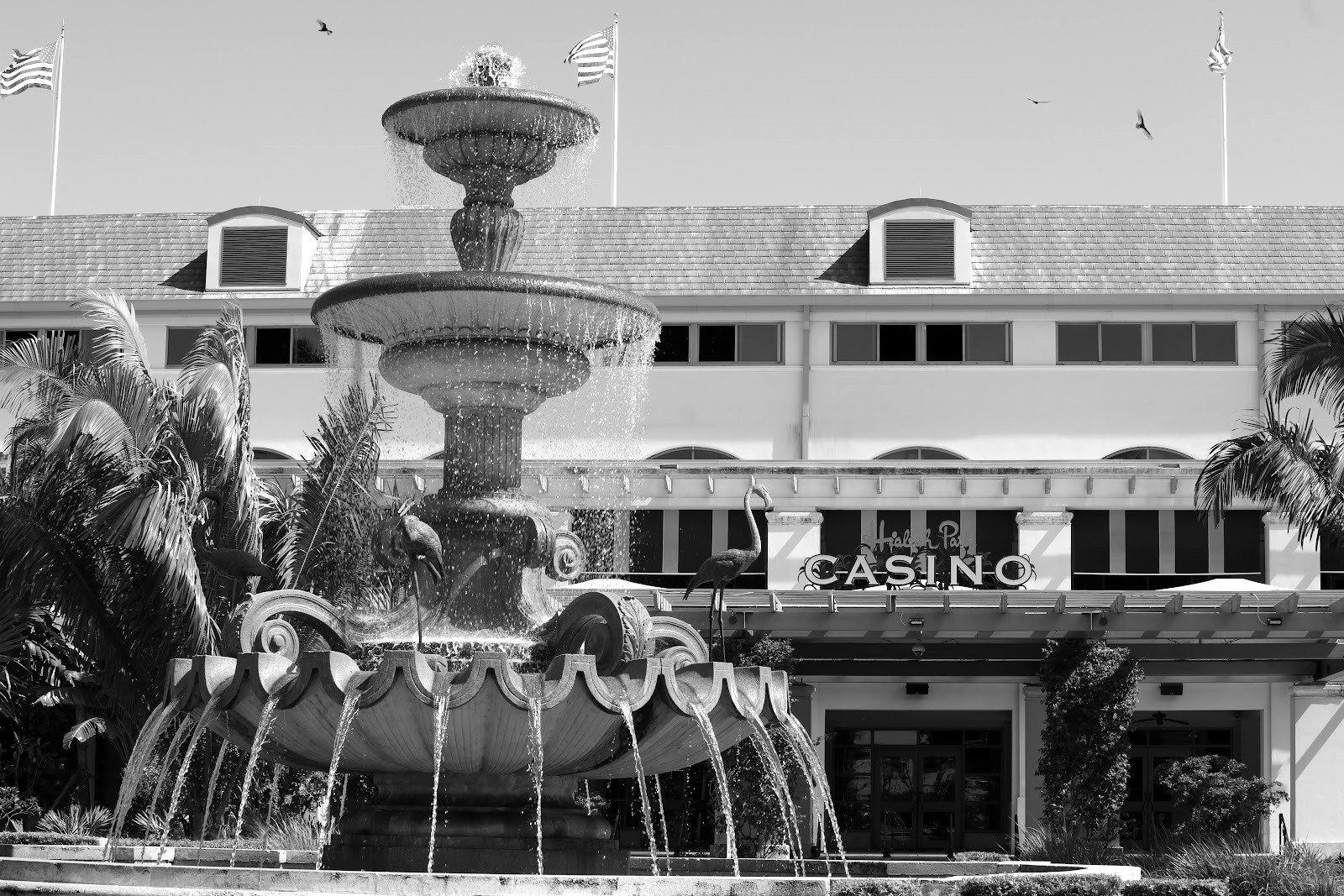 Hialeah — la ciudad dentro de la ciudad — Miami