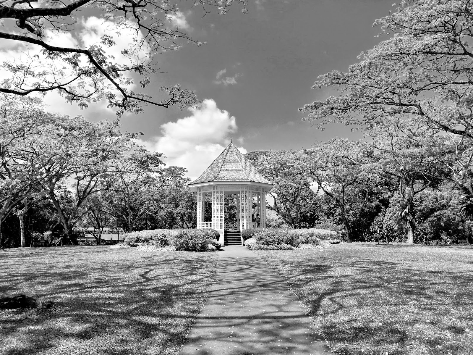 Singapore Botanic Gardens — al amanecer — Singapur