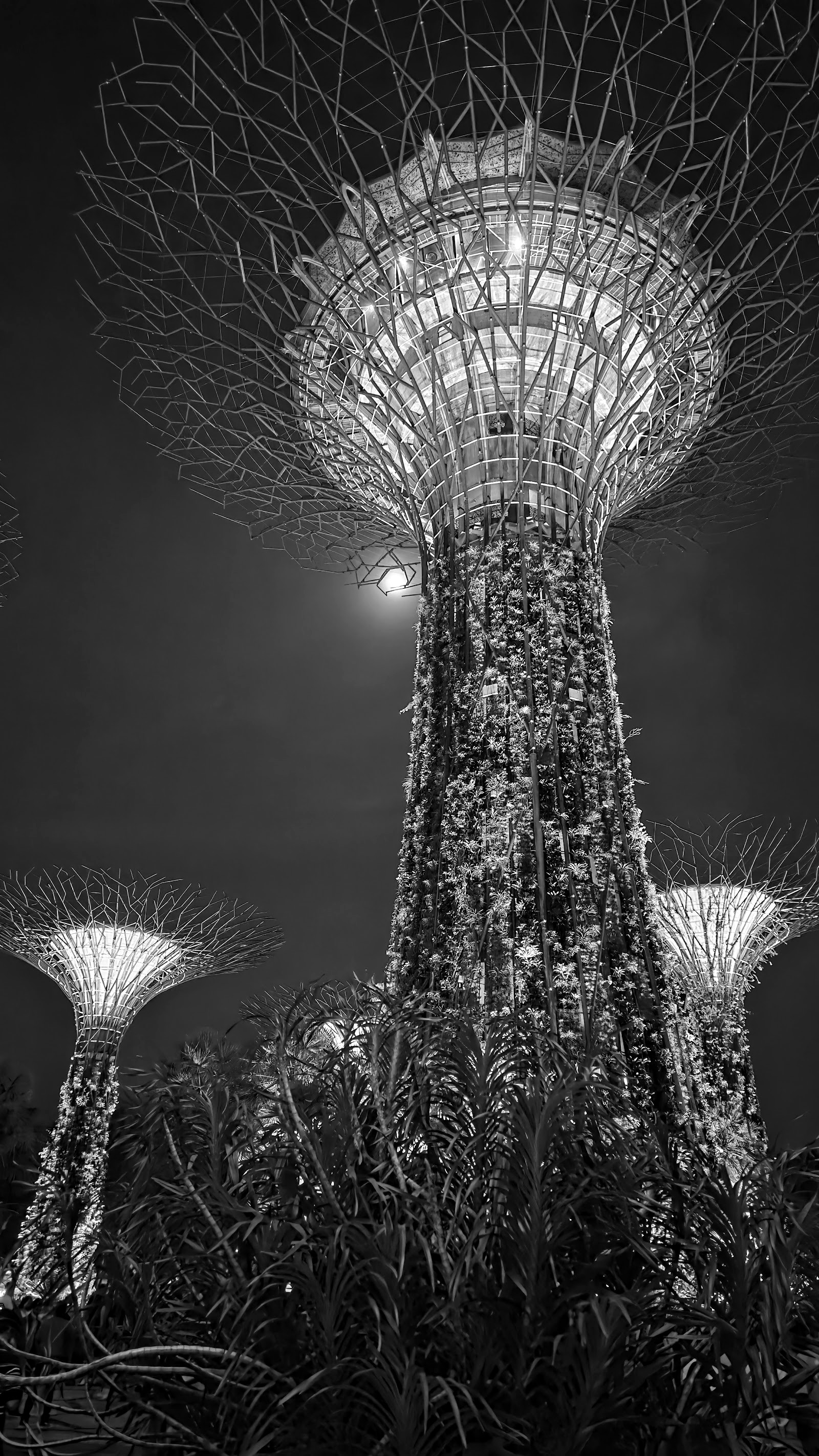 Gardens by the Bay — el espectáculo de luz de los Supertrees — Singapur