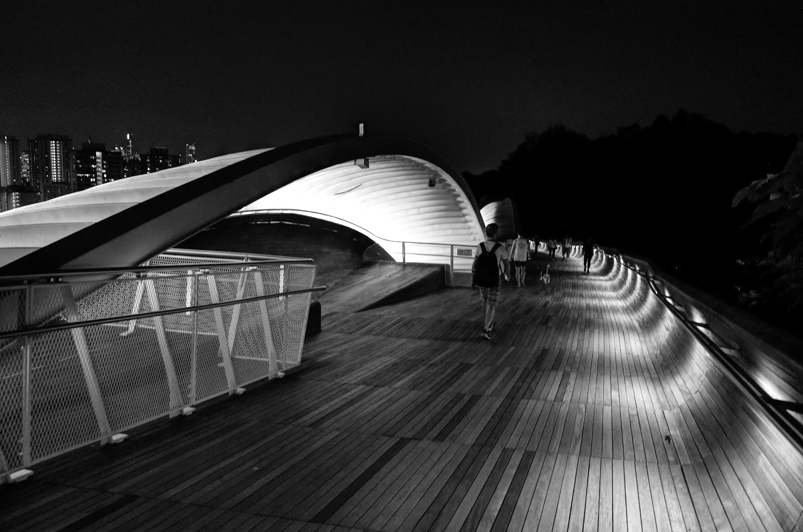 Southern Ridges — el bosque que conecta los parques — Singapur