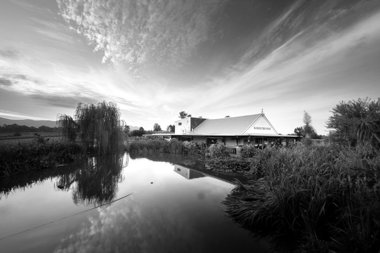 Hunter Valley — el vino que Australia nunca menciona — Sydney