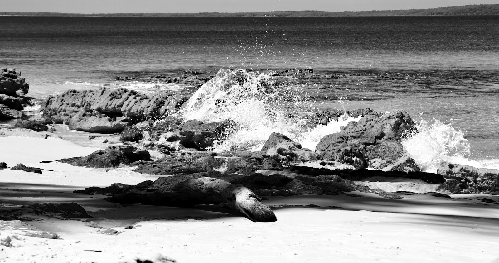 Jervis Bay — la arena más blanca del mundo — Sydney