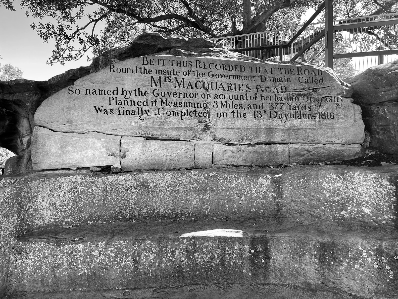 Royal Botanic Garden — Mrs Macquarie's Chair, 6am — Sydney